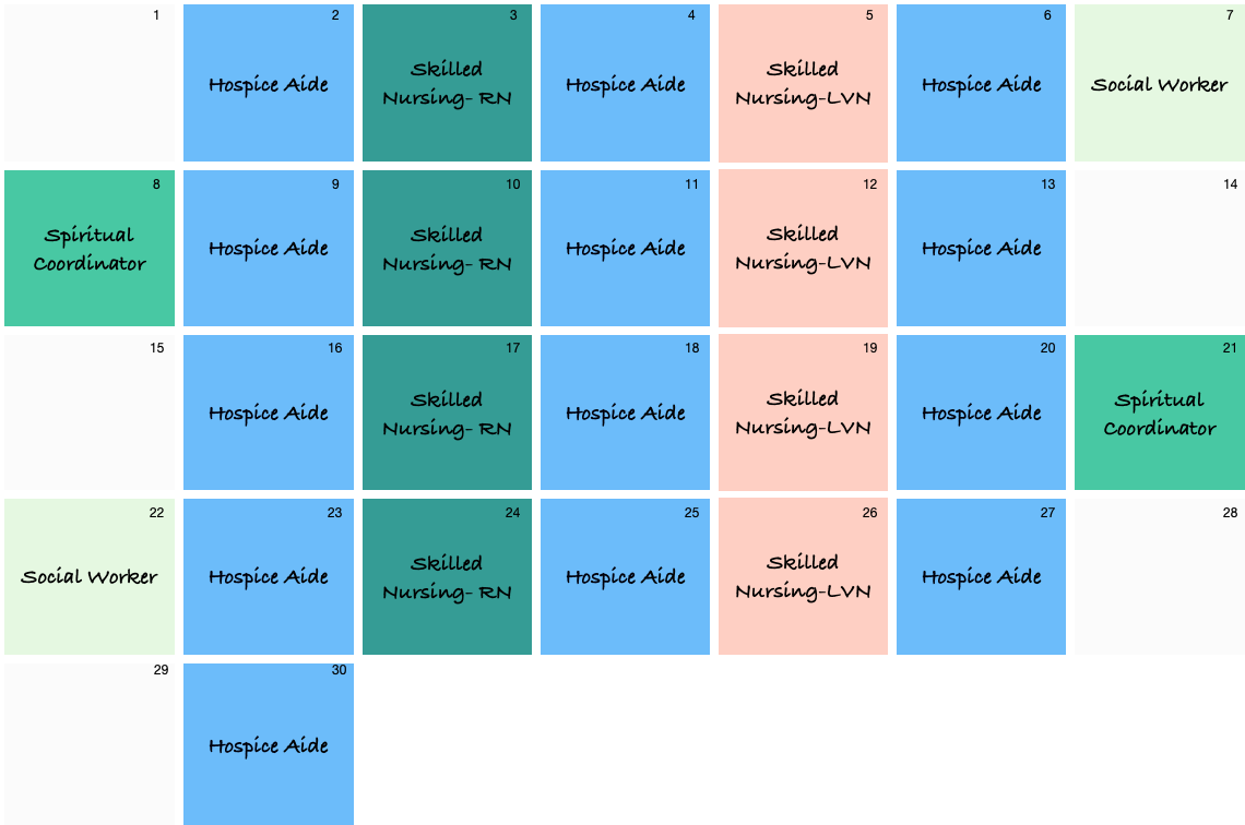 Hospice aides, nursing, social worker, and chaplain visits